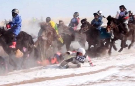 Монголын үрс морин туурайд чирэгдэж амиа алдсаар байх уу...