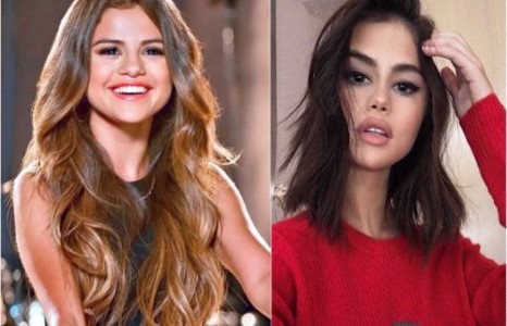 Үсээ богино болгосон одууд