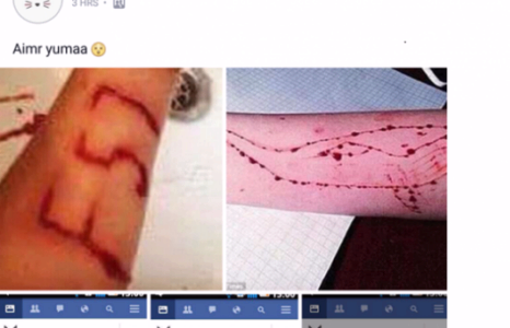 Сэрэмжлүүлэг: Таны хүүхэд ”Цэнхэр халим”-д хорлогдох вий!!!