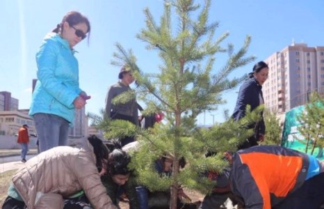 Өнөөдөр бүх нийтээр мод тарина