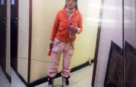 Хүүхэд хулгайлахыг завдсан Хятад эмэгтэйн хэргийг хаажээ