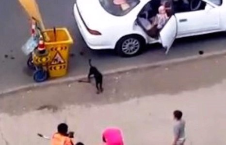  ТҮК-ийн ажилтныг зодож, танхайрсан ээж, охин хоёрт ямар арга хэмжээ авах вэ