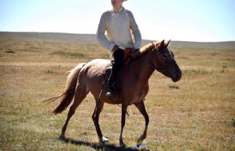 Ерөнхийлөгч Ариунбаатарын талаар юу хэлэв