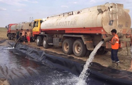 Сайхан сэтгэлт залуус харангадаж үхэж буй зээрнүүдийг хамгаалжээ