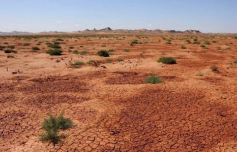 Улсын хэмжээнд ургацынхаа 40 хувийг алдах эрсдэл үүсчээ