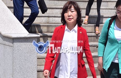 Д.Сарангэрэл гишүүнд хийх ажил байна уу