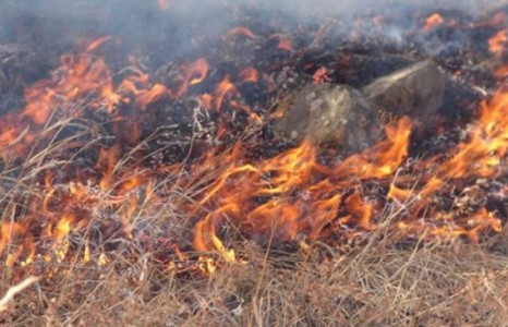 Гал түймэр унтраахад оролцсон иргэдэд урамшуулал олгоно