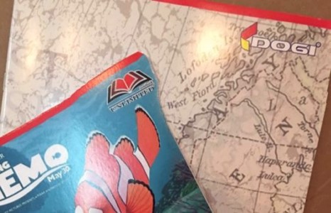 Хятадад үйлдвэрлэсэн сурагчийн дэвтэр хүүхдийн эрүүл мэндэд хорт нөлөөтэй