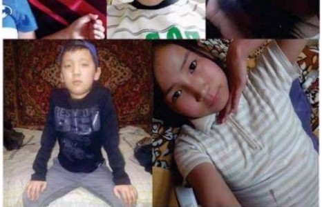 ТАВАН ХҮҮХЭД НЭГ ӨДӨР АЛГА БОЛЖЭЭ