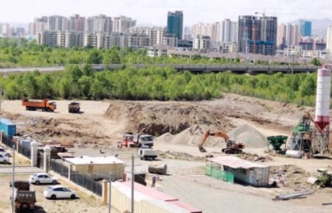Туул голыг ухаж буй компаний тусгай зөвшөөрлийг цуцалсан ч дийлэхгүй байна
