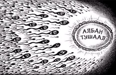 Сайдын тоог нэмэхээр ярьж эхэллээ