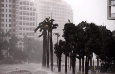 Ирма хар салхины улмаас Майами хот усанд бүрэн автаж гурван хүн нас барлаа