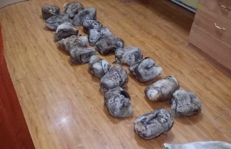 Лүн сумаас 18 тарваганы тулам хууль бусаар гаргаж байсан залуусыг барьсан байна