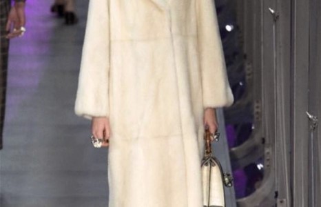 Gucci брэнд амьтдын амиар ”гангарахаа” болино