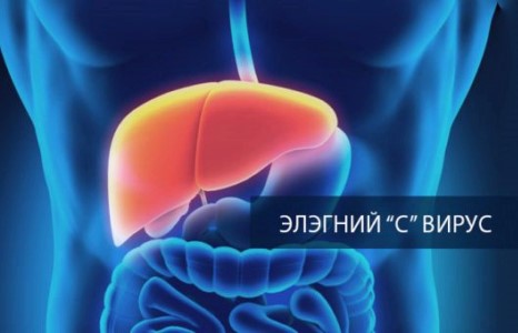 Төсвийн тодотголд С вирусын шинжилгээний зардлыг тусгана