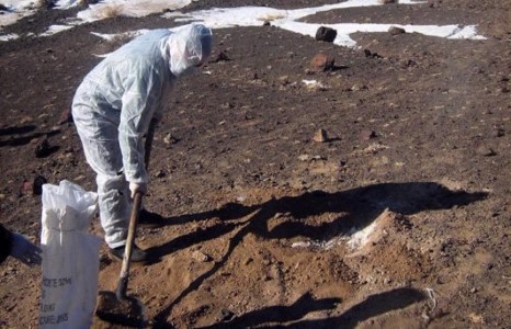 Булган аймагт малын галзуу өвчин гарчээ