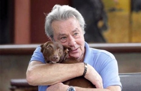 Ален Делон ноходтойгоо хамт оршуулагдана