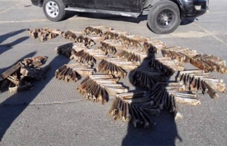 2000 орчим тарваганы арьс тээвэрлэж явжээ