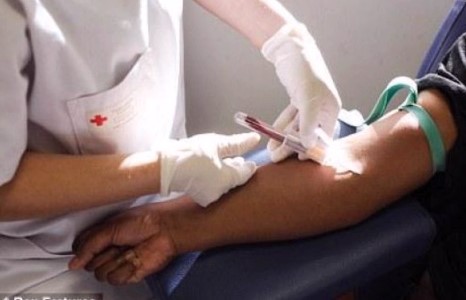 B, C вирус тоолох шинжилгээг улсаас санхүүжүүлнэ