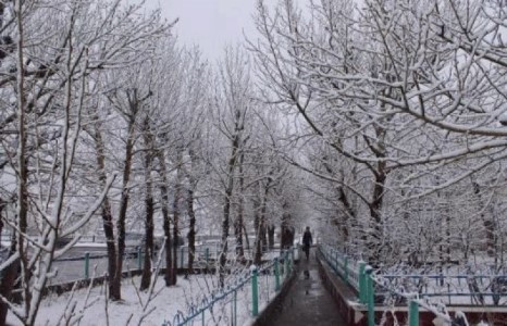 Ойрын өдрүүдэд ихэнх нутгаар хүйтний эрч суларна