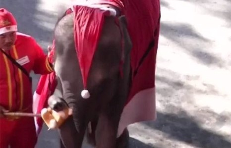 Санта-Клаус заанууд хүүхдүүдэд мэндчилгээ дэвшүүлэв