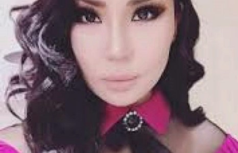 Дуучин Ану одонгийн хүүхдүүдээ өлгийдөн авчээ
