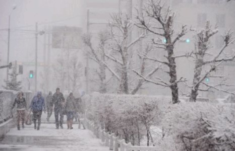 Сүүлийн 10 жилд болоогүй онцгой хүйтэрнэ гэдэг нь ташаа мэдээлэл гэв