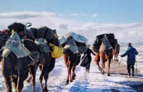 Н.Байгалмаа ганцаараа үлдлээ