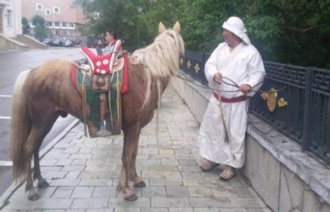С.Жавхлан Морио унахыг санал болгожээ