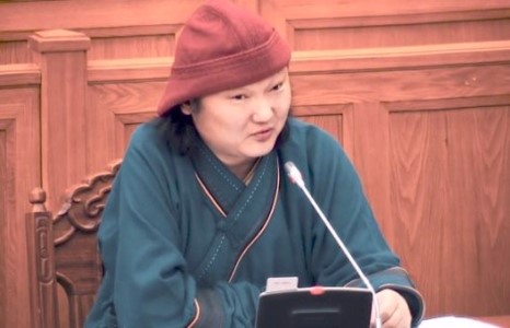 С.Жавхлан гишүүн чуулганы танхимын сандал, ширээг цэнхэр, улаанаар ялган будах санал гаргалаа