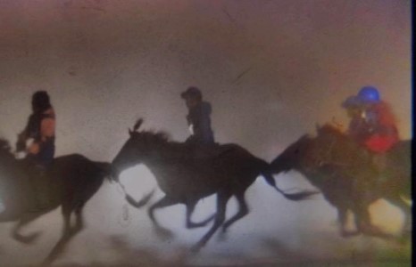 Ерөнхий сайд У.Хүрэлсүх ”Дүнжингарав” уралдаанд буруутай хүмүүст хариуцлага тооцохыг үүрэгдлээ