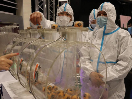 News Paparazzi : 