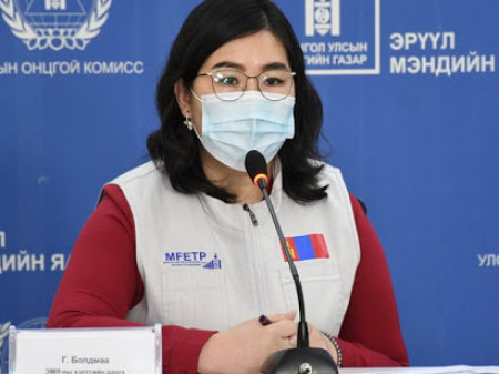 Г.Болдмаа: 481 тохиолдол бүртгэгдэж, нийт тохиолдол 8010 боллоо