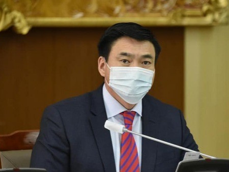С.Амарсайхан: Коронавирусийн мутацид орсон төрөл манай улсад Туркээс зөөвөрлөгдөн ирсэн