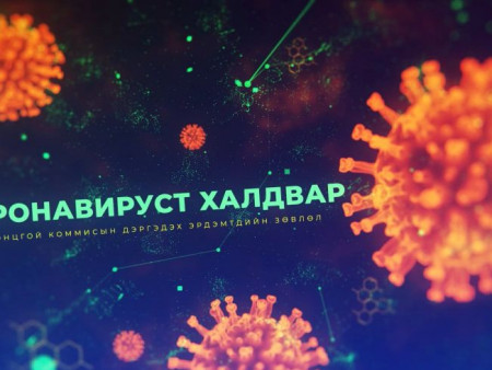 Коронавируст халдварын улмаар 142 хүн нас бараад байна
