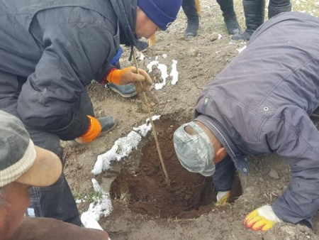 Мод тарих өдрийн хүрээнд 25 мянган өрх мод тарина