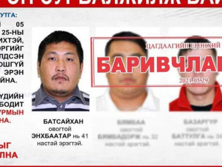 ХОЁР сая ам.долларын хэрэг: Гэмт этгээдүүдийг үүргэвчтэй хоног төөрүүлж явахад нь Маахуур толгой орчмоос баривчилжээ