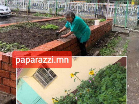 Яг сахиусан тэнгэр шиг ЯПОН эмээ монголд амьдардаг