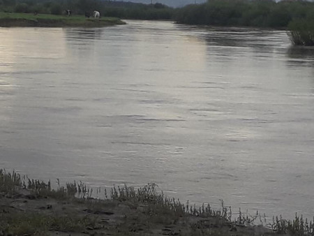 Шаварт унасан үхэр гаргах гэж тогтоол ус руу орж, морьтойгоо шивж нас баржээ