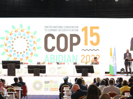 НҮБ-ЫН ЦӨЛЖИЛТТЭЙ ТЭМЦЭХ КОНВЕНЦИЙН ТАЛУУДЫН 17 БАГА ХУРАЛ (COP17)-ЫГ 2026 ОНД МОНГОЛ УЛСАД ЗОХИОН БАЙГУУЛАХААР БОЛЛОО