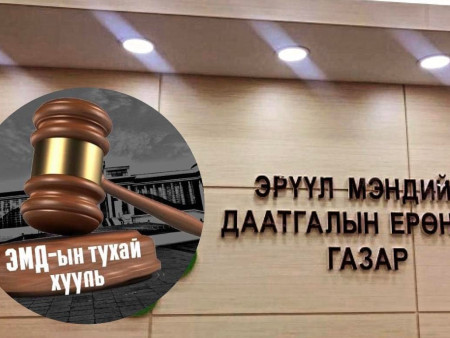ЭМД-ын тухай хуулийг эргэж нэг хармаар байна