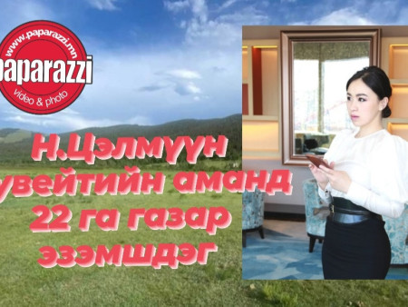 Н.Цэлмүүн Кувейтийн аманд 22 га газар эзэмшдэг