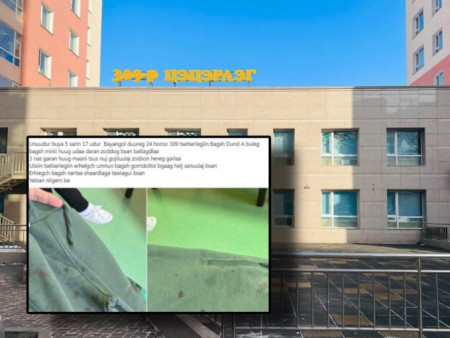 ЦЭЦЭРЛЭГИЙН БАГШ ХҮҮХЭД ЗОДСОН ГЭХ АСУУДЛЫГ ШАЛГАЖ БАЙНА