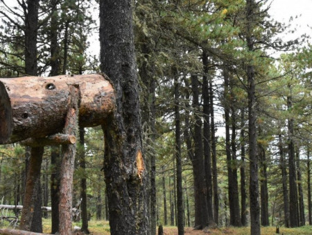 Самарт яваад сураггүй болсон иргэний цогцсыг олжээ