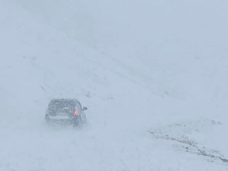 Төөрсөн 73 настай иргэнийг эсэн мэнд олжээ