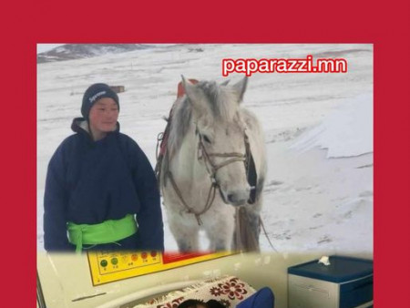 Цасан шуурганд малтайгаа төөрсөн хүү осгохгүйн тулд хонин дундаа орж суусаар амьд гарчээ