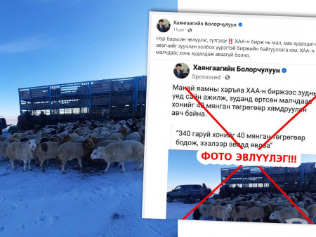 Малчдад гай болсон Х.Болорчулууны амбиц