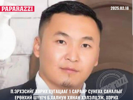Интерполын шугамаар эрэн сурвалжлагдаж, баригдсан П.Эрхэсийг суллажээ