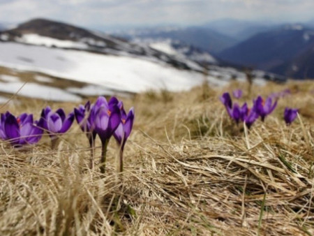 Ойрын 10 хоногийн цаг агаарын урьдчилсан төлөв