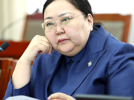 АН-ын бүлэг: Цахилгаан дугуй унах насны хязгаарыг 16 болгох, хурдны зохицуулалт хийх шаардлагатайг онцоллоо